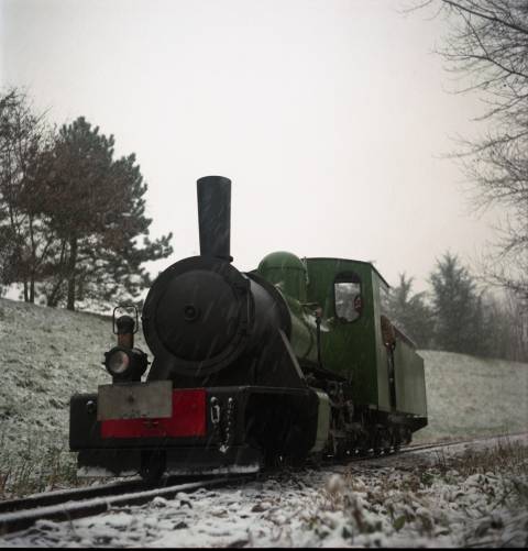 20101130 La Fernande sous la neige (2)